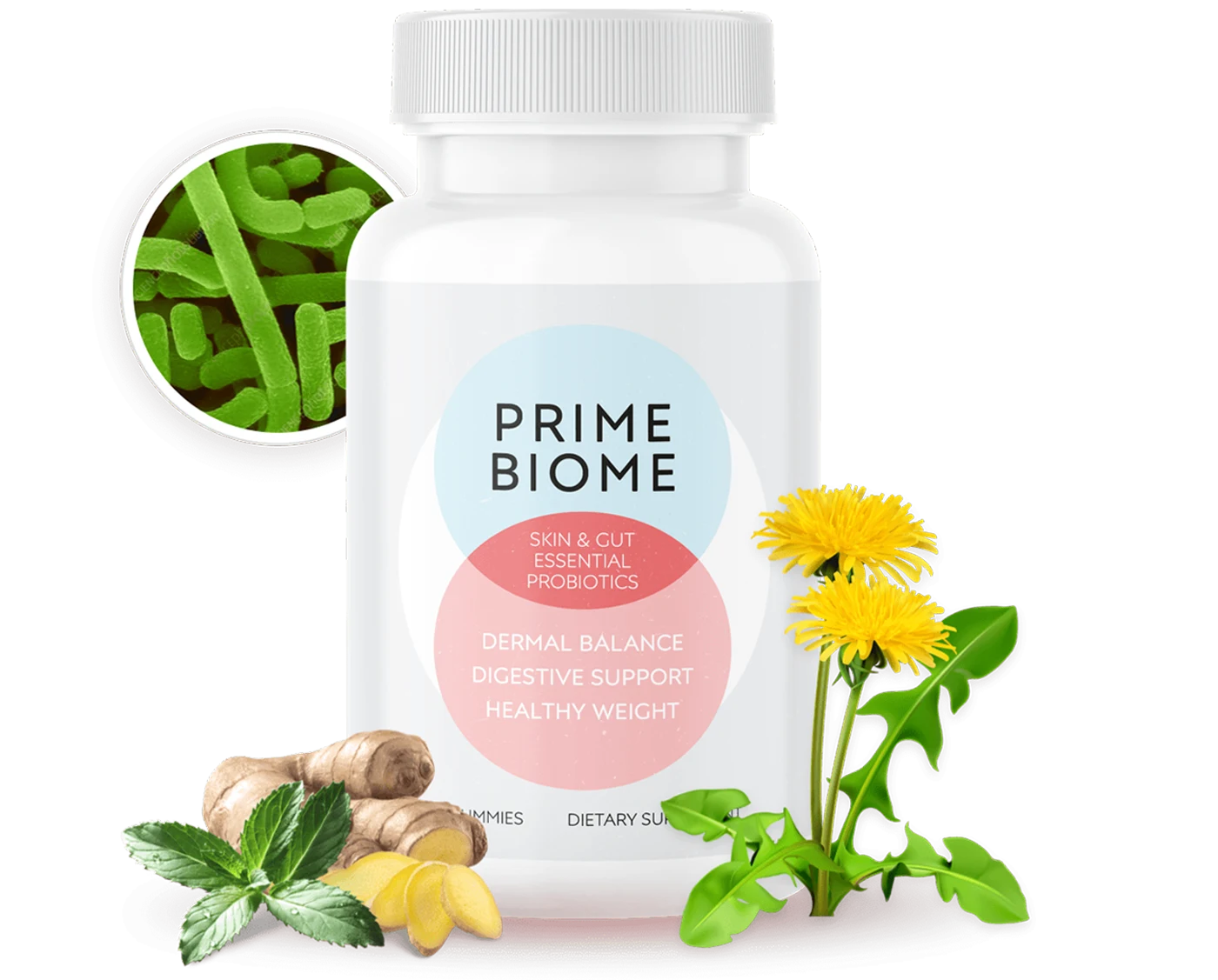 Prime Biome anti-aging longevity supplement